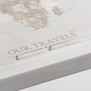 Antique World Push Pin Map