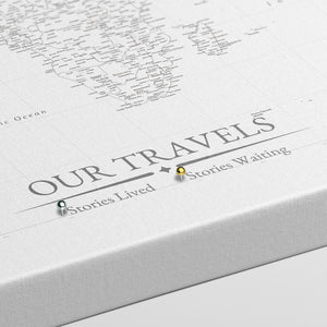 Blank Canvas World Push Pin Map