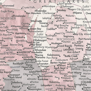 Detail crop of Blush Slate US Push Pin Map showing map colors, labels, and cartographic detail