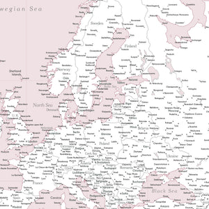 Detail crop of Champagne Rose World Push Pin Map showing map colors, labels, and cartographic detail