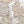 Detail crop of Classic US Push Pin Map showing map colors, labels, and cartographic detail