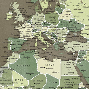 Detail crop of Forest Glade World Push Pin Map showing map colors, labels, and cartographic detail