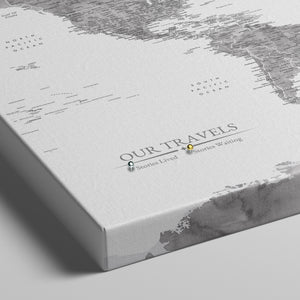 Grayscale World Push Pin Map