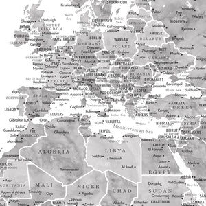 Detail crop of Grayscale World Push Pin Map showing map colors, labels, and cartographic detail