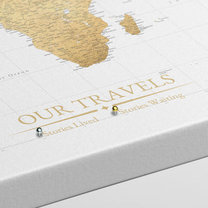 Gilded World Push Pin Map