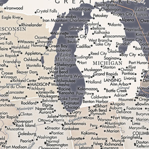 Detail crop of Navigator Navy US Push Pin Map showing map colors, labels, and cartographic detail
