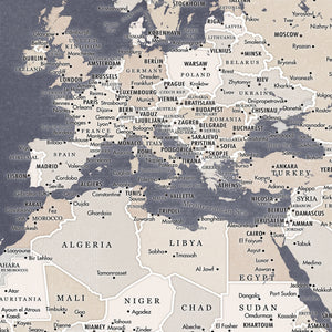 Detail crop of Navigator World Push Pin Map showing map colors, labels, and cartographic detail