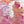 Detail crop of Sunset Horizon US Push Pin Map showing map colors, labels, and cartographic detail