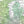 Detail crop of Tealstone US Push Pin Map showing map colors, labels, and cartographic detail